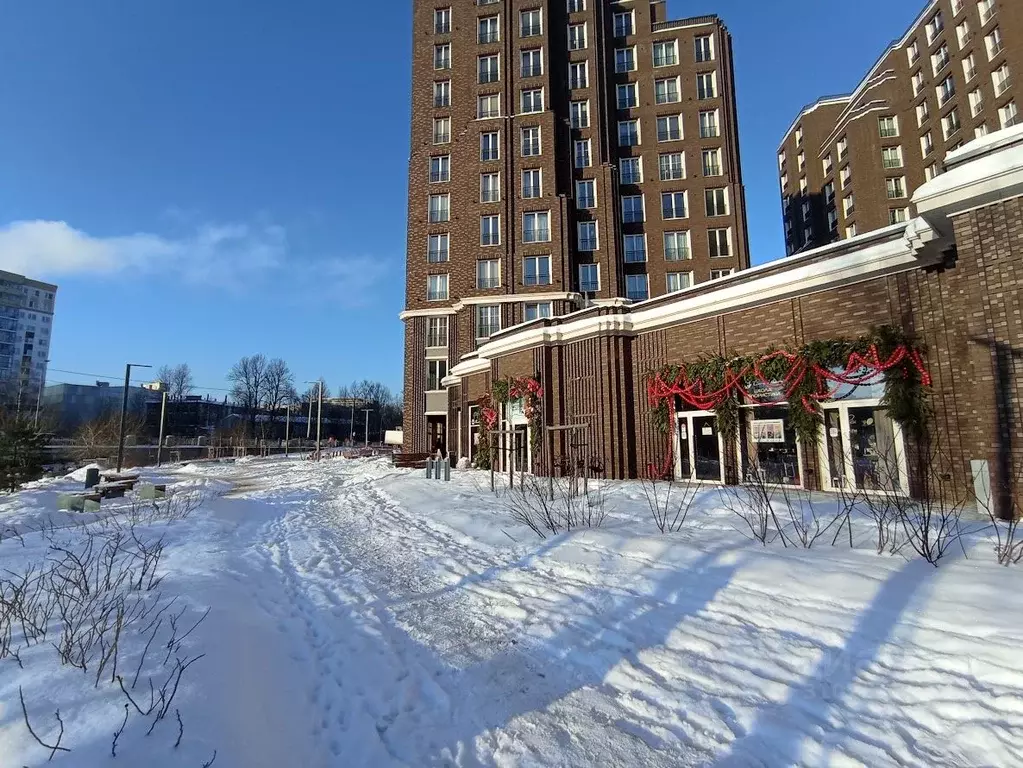 Помещение свободного назначения в Санкт-Петербург просп. Шаумяна, 14 ... - Фото 1