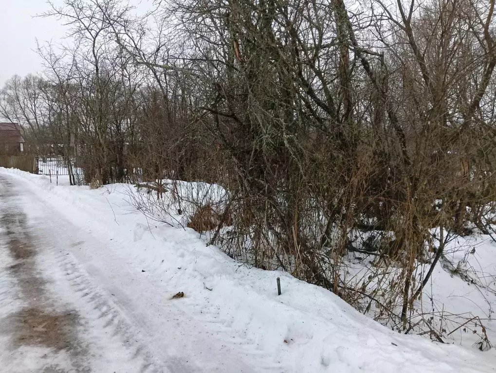 Участок в Московская область, Клин городской округ, д. Сметанино  ... - Фото 1