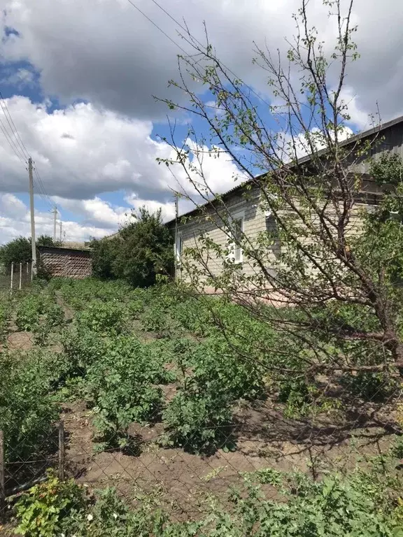 Дом в Саратовская область, Новобурасское муниципальное образование, с. ... - Фото 0