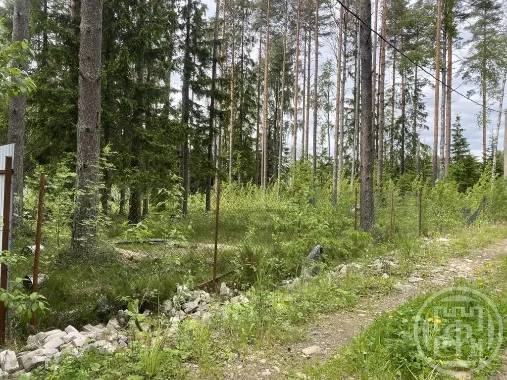 Участок в Ленинградская область, Сертолово Всеволожский район, Медное ... - Фото 1