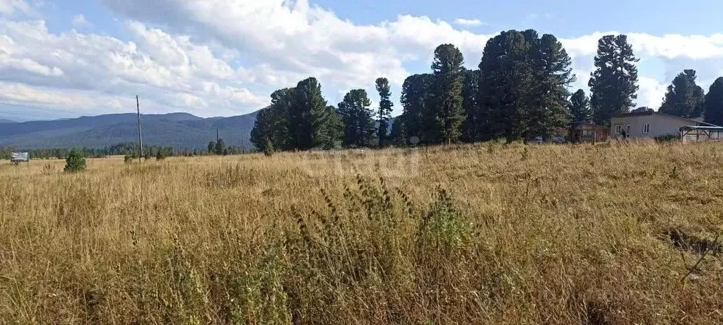 Участок в Алтай, Онгудайский район, с. Каракол  (50.0 сот.) - Фото 1