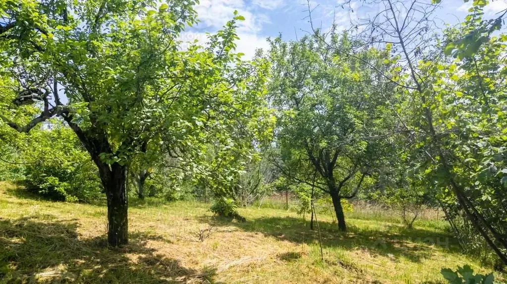 Участок в Краснодарский край, Сочи городской округ, с. Верхнеармянское ... - Фото 0
