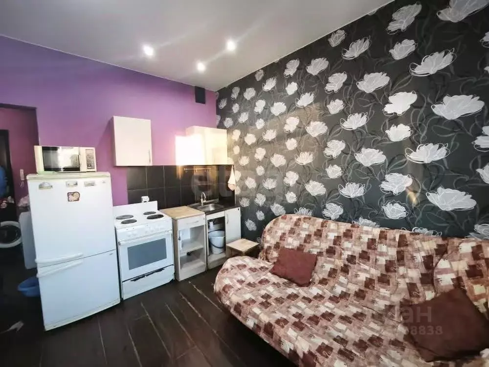 Студия Новосибирская область, Новосибирск ул. Одоевского, 1/9 (20.5 м) - Фото 2