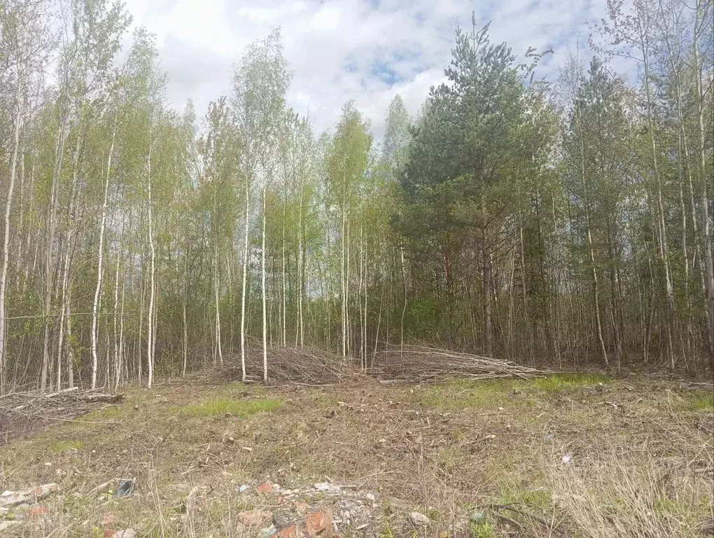 Участок в Московская область, Богородский городской округ, Олимп СНТ  ... - Фото 2