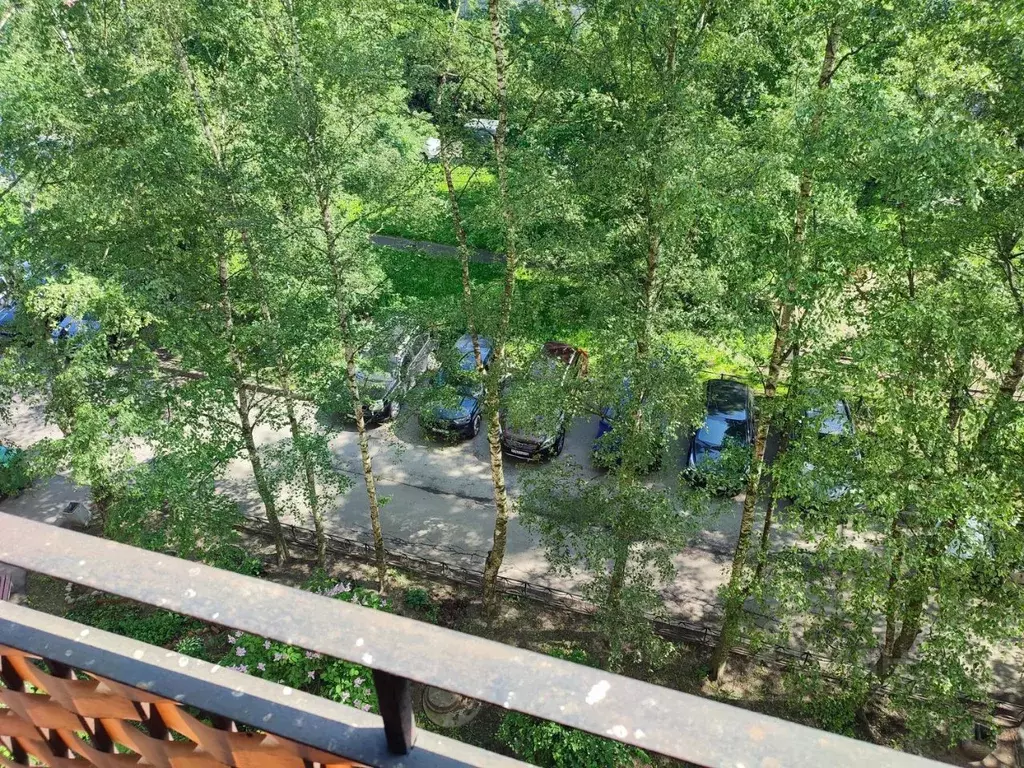 3-к кв. Санкт-Петербург Купчинская ул., 20К2 (56.9 м) - Фото 1