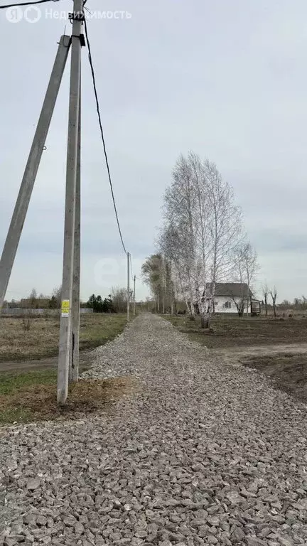 Участок в село Елыкаево, Колхозная улица (14.99 м) - Фото 1