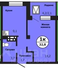 1-к кв. Красноярский край, Красноярск ул. Лесников, 51Б (32.9 м) - Фото 0