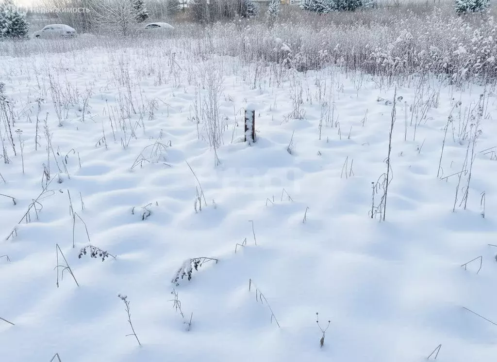 Участок в Томский район, деревня Петрово, переулок Братьев Петровых ... - Фото 1