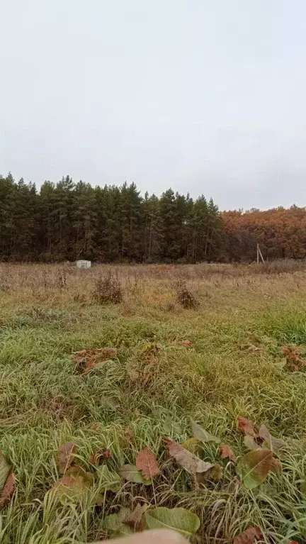 Участок в Башкортостан, Иглинский район, Акбердинский сельсовет, д. ... - Фото 1