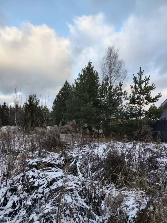 Участок в Московская область, Раменский муниципальный округ, д. Минино ... - Фото 0