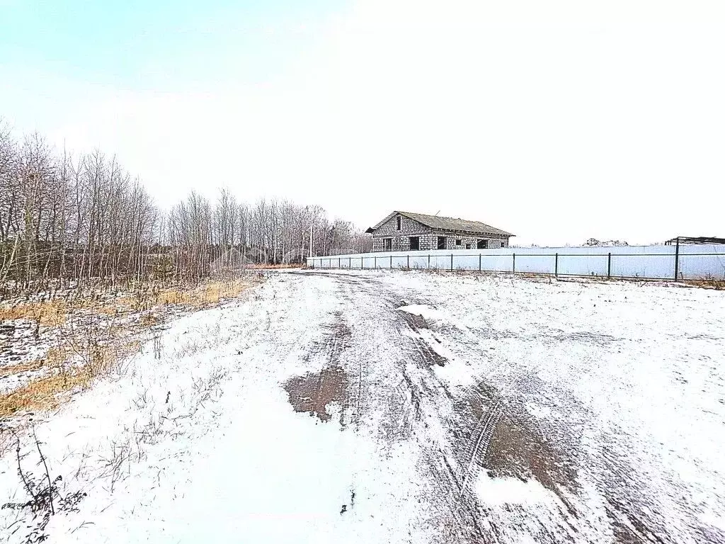 Участок в Тюменская область, Тюмень Ирбитский Тракт 3-й км от ... - Фото 1