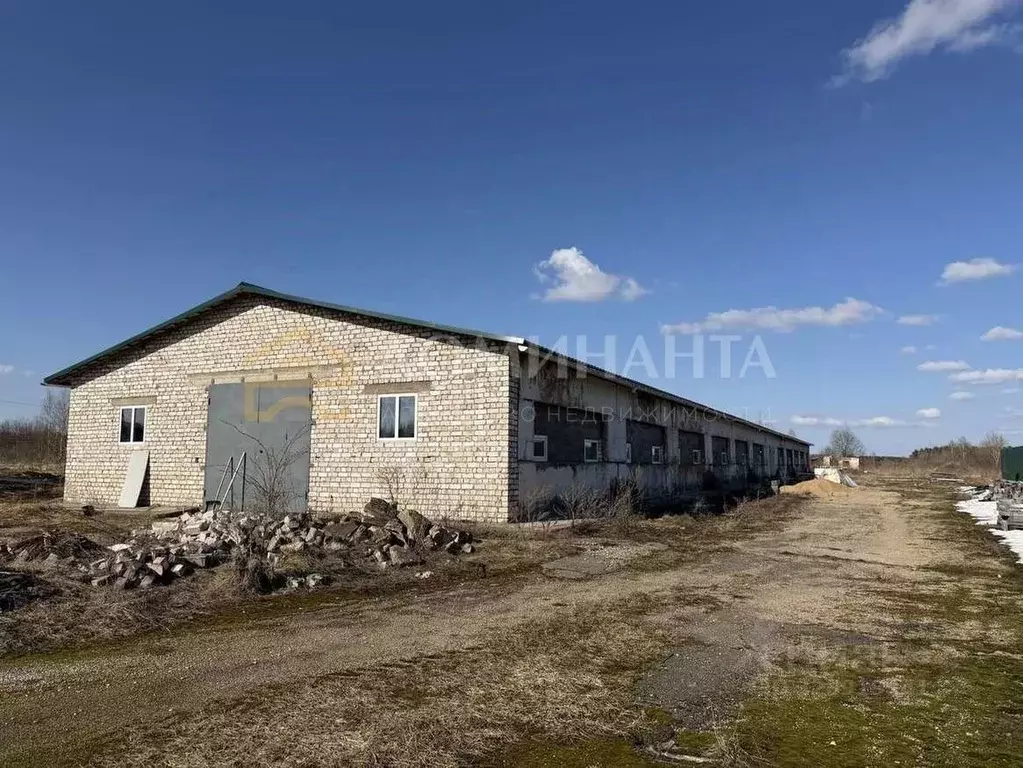 Помещение свободного назначения в Смоленская область, Смоленский ... - Фото 2