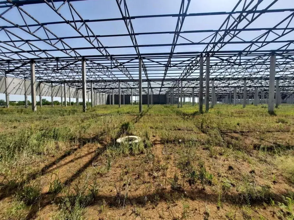 Склад в Самарская область, Волжский район, Смышляевка городское ... - Фото 1