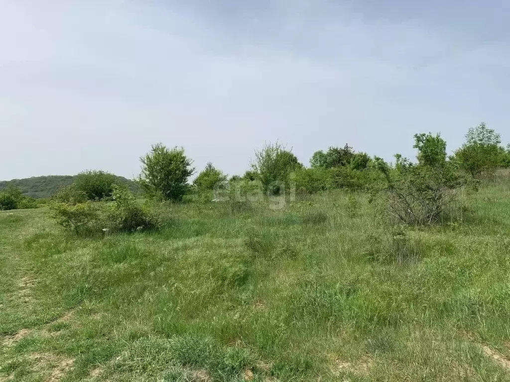 Участок в Краснодарский край, Новороссийск городской округ, с. ... - Фото 1
