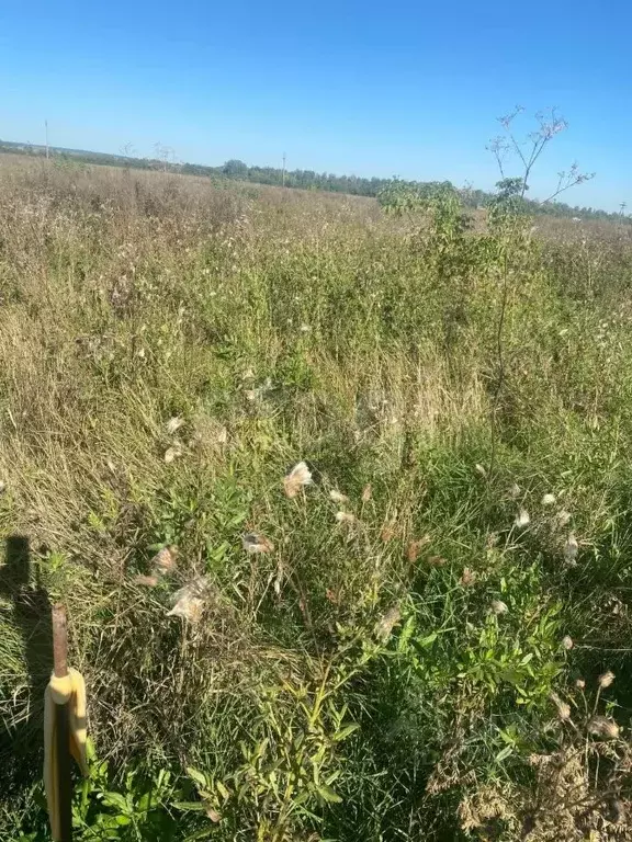 Участок в Башкортостан, Стерлитамакский район, Красноярский сельсовет, ... - Фото 2