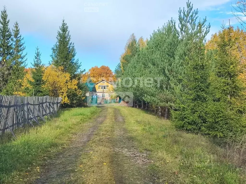 Участок в Новгородская область, Новгородский район, Борковское с/пос, ... - Фото 0