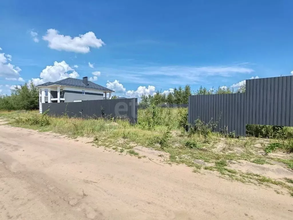 Участок в Воронежская область, Рамонский район, Новоживотинновское ... - Фото 1