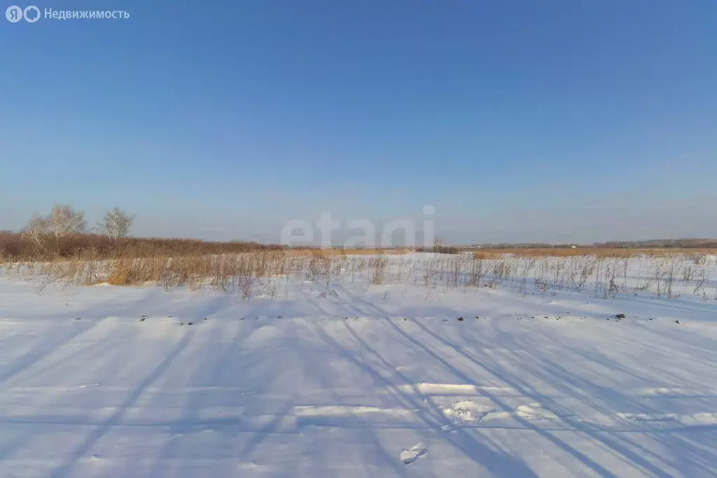 Участок в муниципальный округ Омский район, деревня Верхний Карбуш, ... - Фото 2