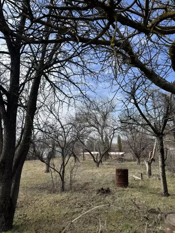 Участок в Ростовская область, Новочеркасск Малинка СТ, 150 (6.28 сот.) - Фото 2