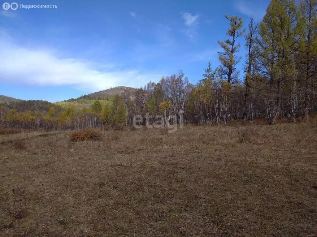 Участок в Иволгинский район, сельское поселение Оронгойское, станция ... - Фото 1