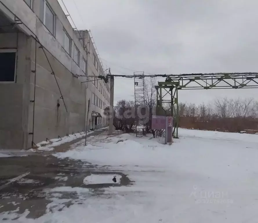 Склад в Курганская область, Курган ул. 2-я Часовая, 54 (15844 м) - Фото 2