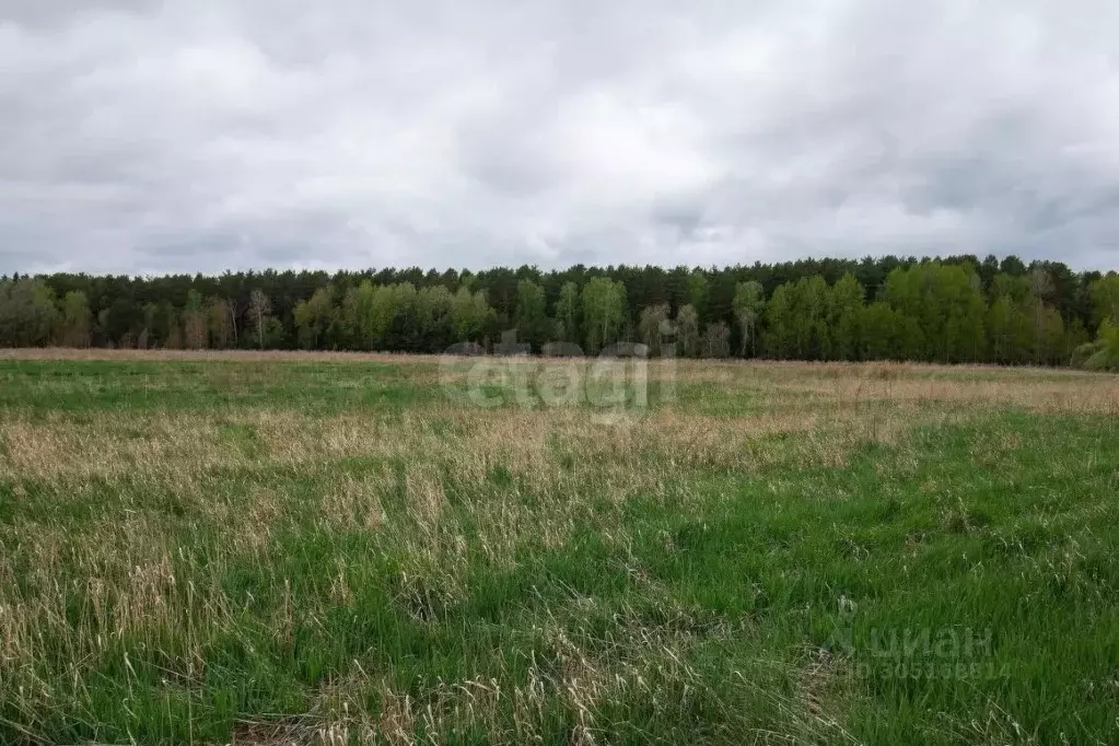 Участок в Тюменская область, Тюменский район, с. Салаирка  (8.96 сот.) - Фото 1