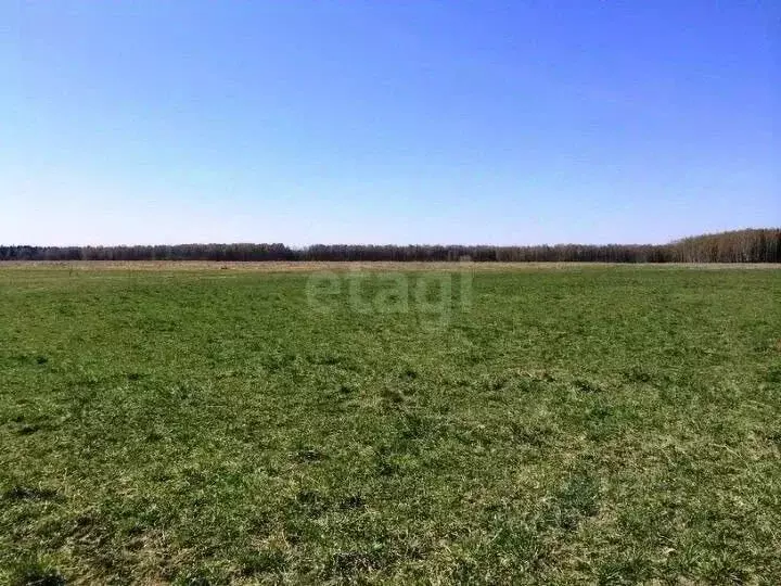 Участок в Мордовия, Саранск городской округ, пос. Пушкино  (15.0 сот.) - Фото 0