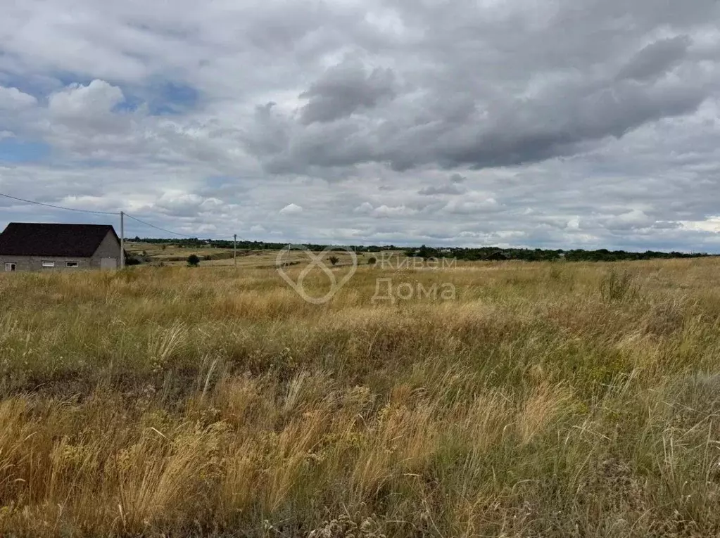 Участок в Волгоградская область, Среднеахтубинский район, ... - Фото 2