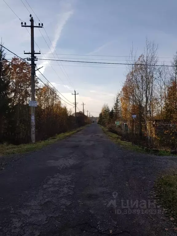 Участок в Ленинградская область, Тосненский район, Трубникоборское ... - Фото 1