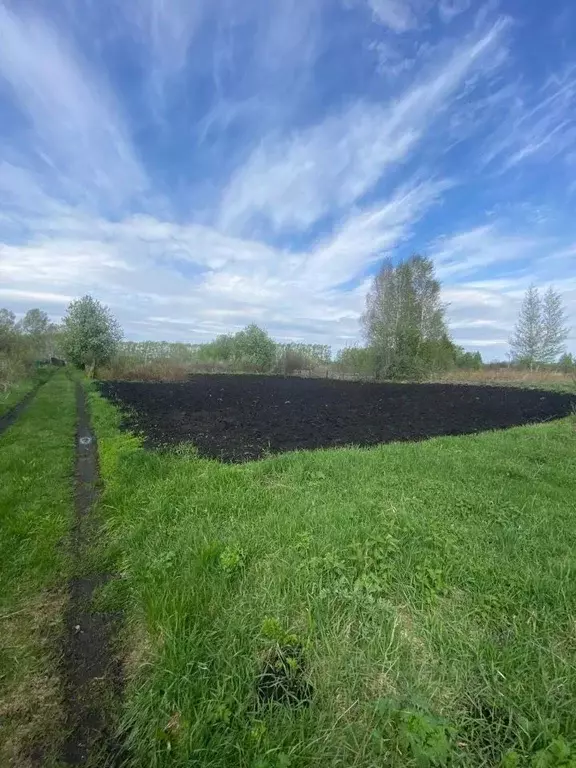 Участок в Башкортостан, Уфимский район, Шемякский сельсовет, Шемяк СНТ ... - Фото 1