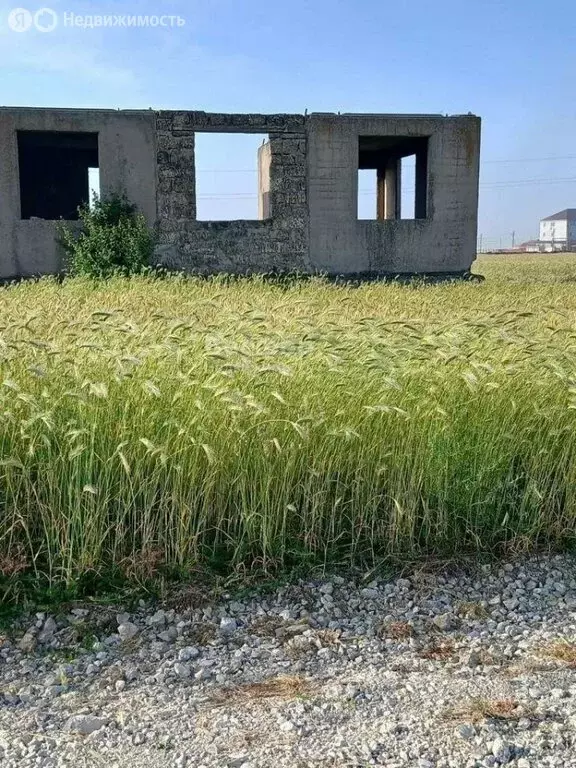 Дом в Приморский, Школьная улица, 18 (50 м) - Фото 2