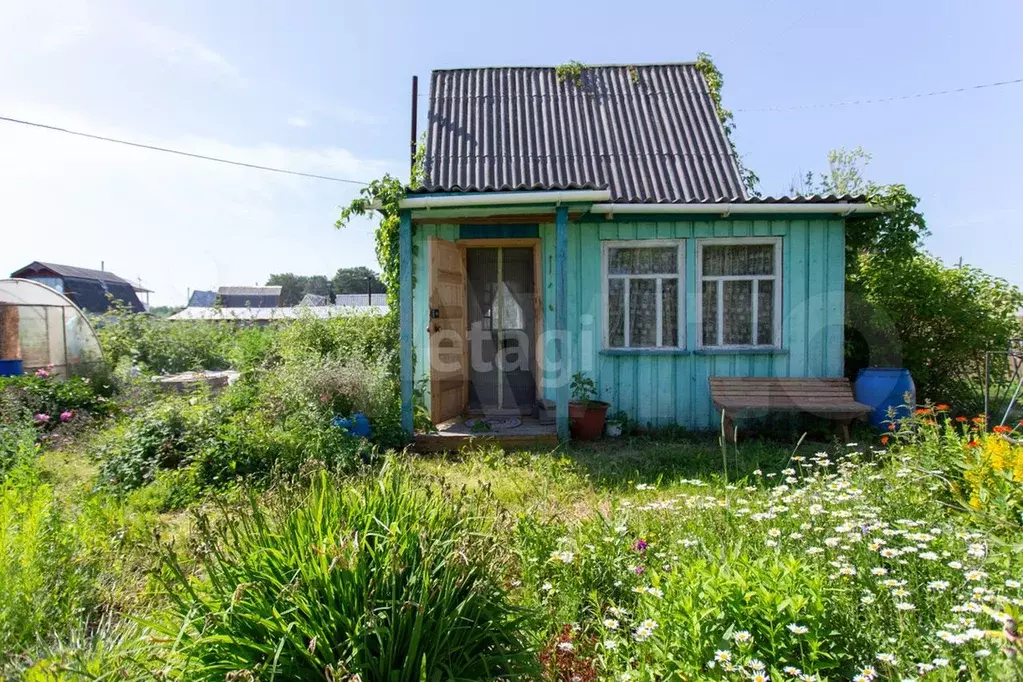 Купить Дачу В Тюменской Области Недорого