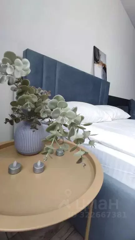 Студия Пермский край, Пермь ул. Малкова, 12 (27.0 м) - Фото 2