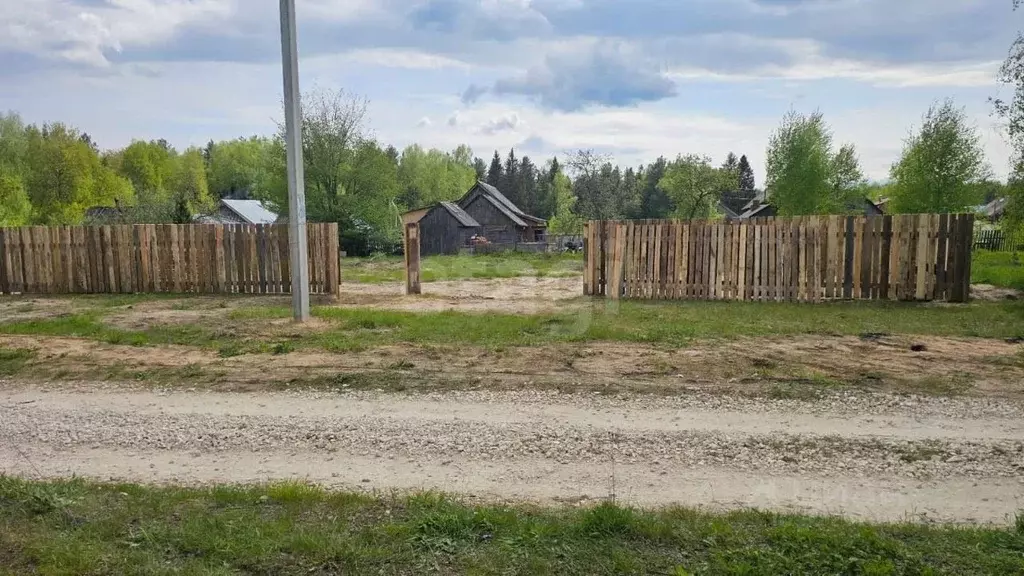 Участок в Владимирская область, Вязниковский район, Сарыевское ... - Фото 1