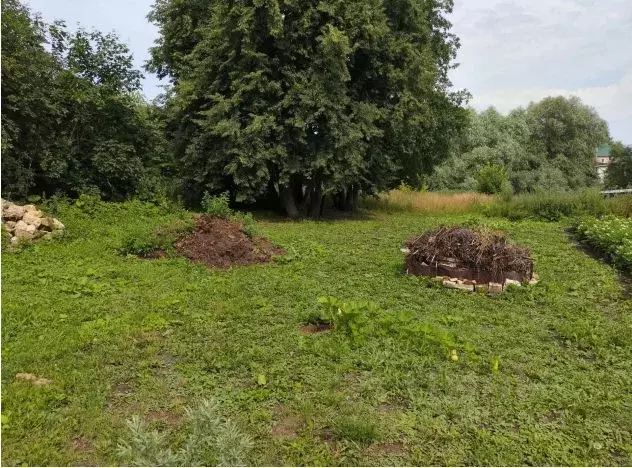 Участок в Московская область, Зарайск муниципальный округ, д. Большие ... - Фото 2