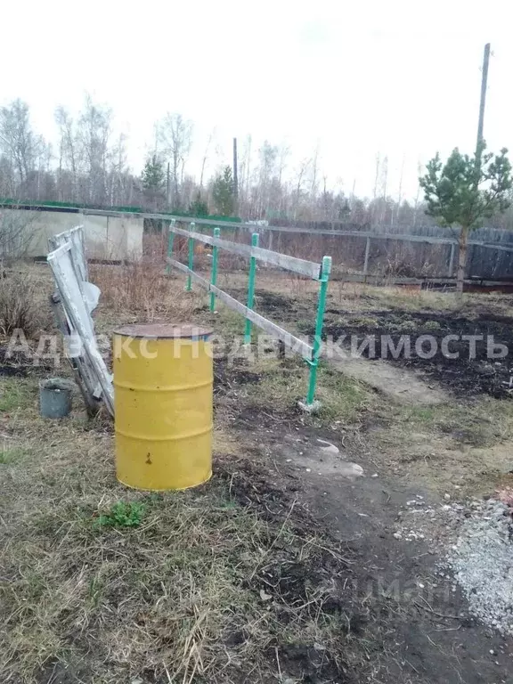 Участок в Тюменская область, Тюменский район, Нива СНТ ул. Водная (7.8 ... - Фото 1