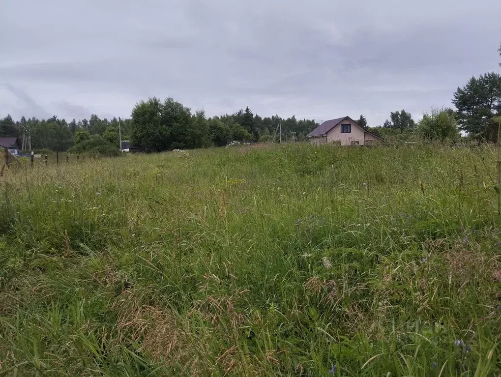 Участок в Московская область, Одинцовский городской округ, д. Болтино  ... - Фото 1