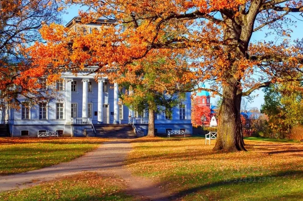 Участок в Ленинградская область, Гатчинский муниципальный округ, с. ... - Фото 1