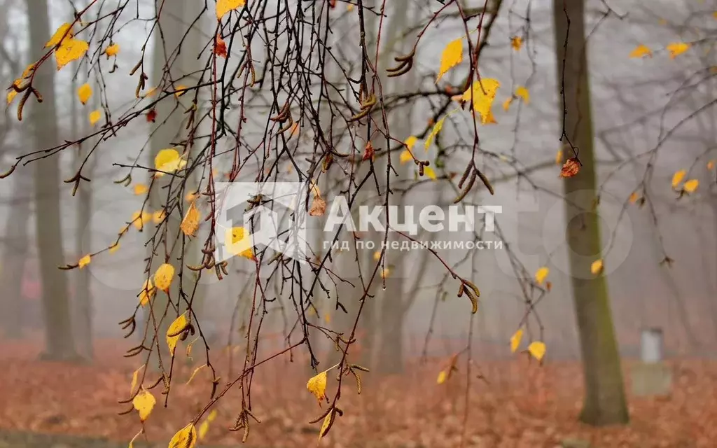 3-к. квартира, 65,9 м, 2/9 эт. - Фото 1