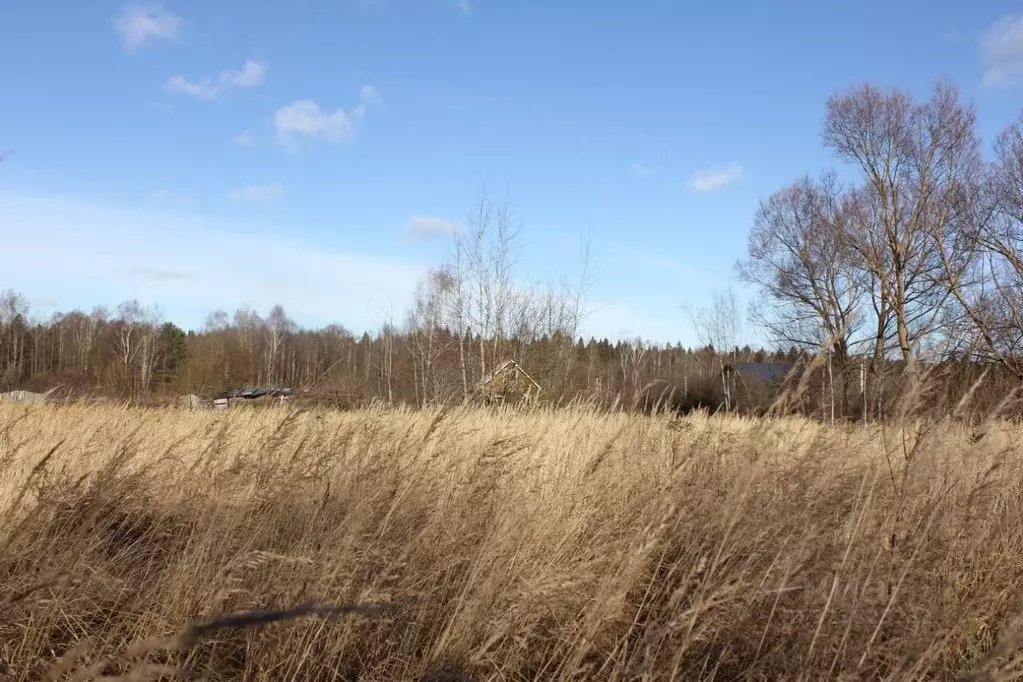 Участок в Москва д. Кузнецово, ул. Березовая, 69 (12.77 сот.) - Фото 2