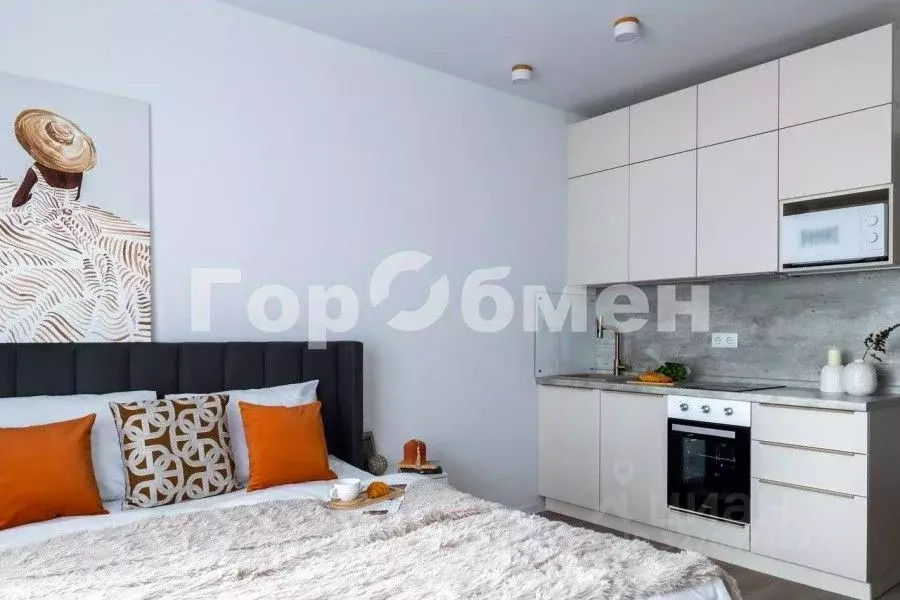 Студия Москва ул. Трехполье, 6к1 (22.0 м) - Фото 2