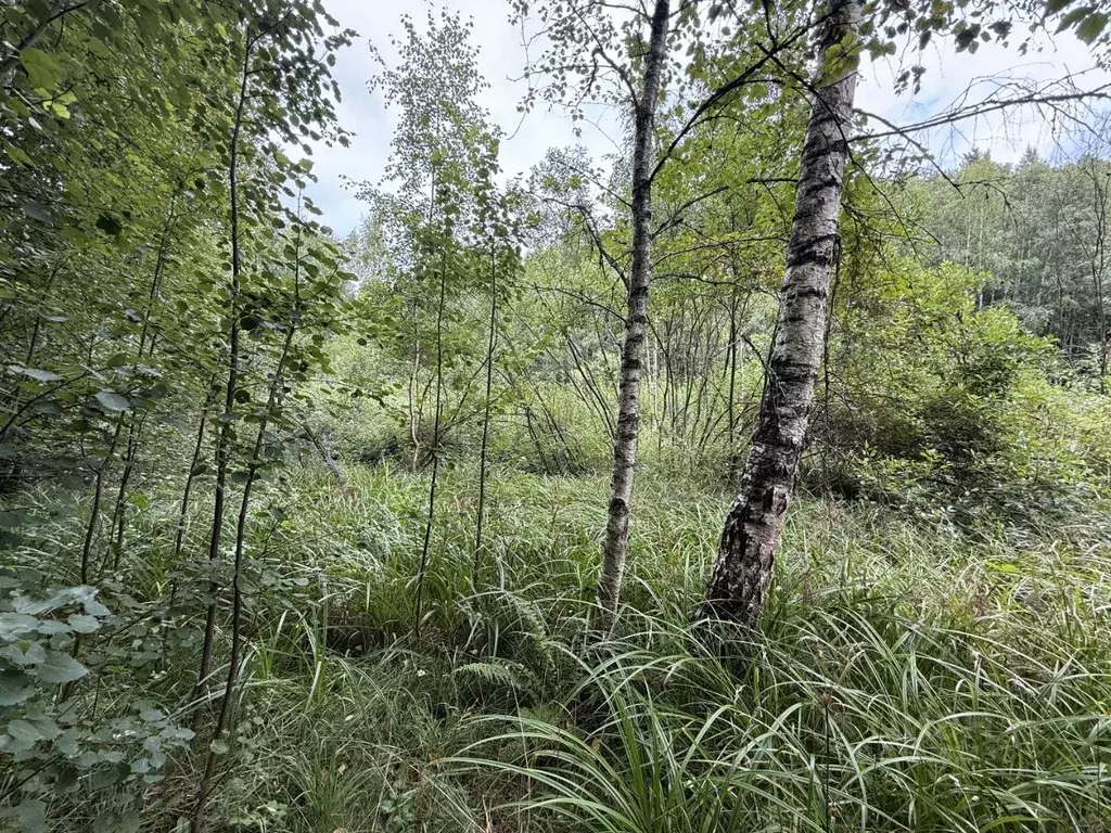 Участок в Московская область, Одинцовский городской округ, пос. НИИ ... - Фото 2