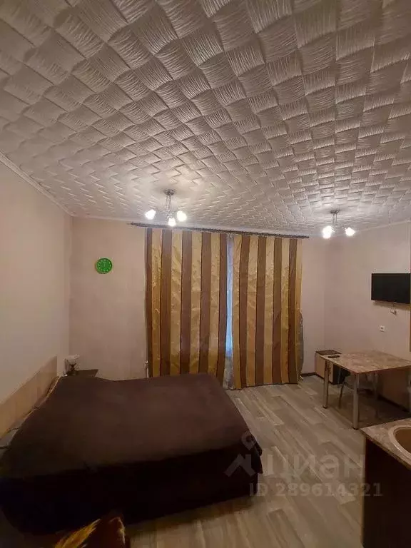 Студия Воронежская область, Воронеж ул. Кривошеина, 13/9 (27.0 м) - Фото 0