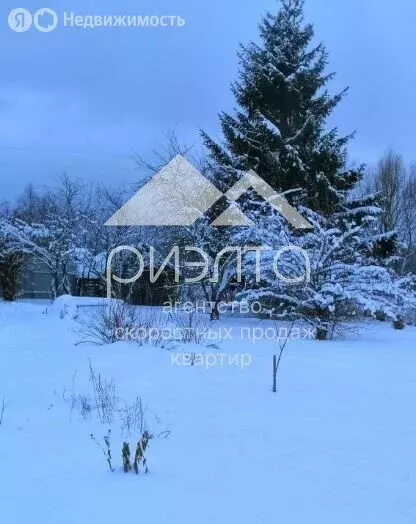 Участок в Барышевский сельсовет, садоводческое некоммерческое ... - Фото 0