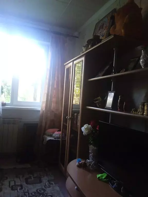 Продаётся 1-к квартира, 24.7 м - Фото 0