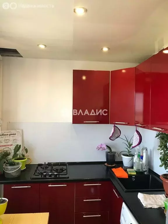 1-комнатная квартира: село Чемодановка, Фабричная улица, 18А (35 м) - Фото 2