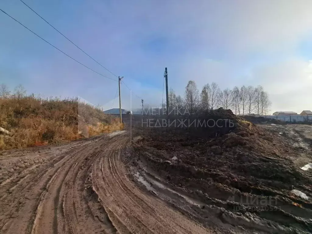 Участок в Тюменская область, Тюмень Медик СНТ, ул. Кедровая, 543 (6.0 ... - Фото 0