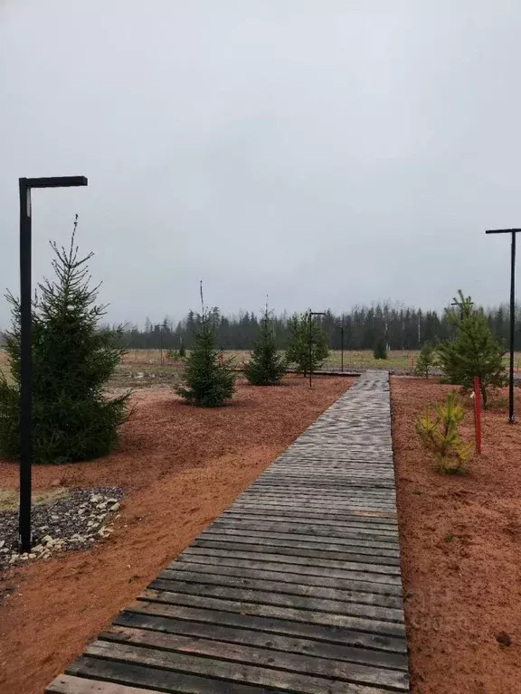 Участок в Ленинградская область, Гатчинский муниципальный округ, д. ... - Фото 2