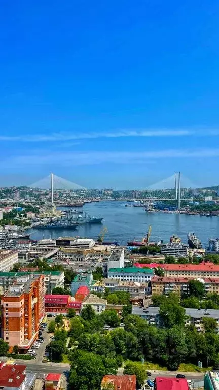 3-к кв. Приморский край, Владивосток ул. Арсеньева, 2А (80.0 м) - Фото 0