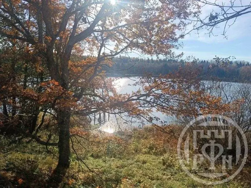 Участок в Ленинградская область, Лужский район, Оредежское с/пос, д. ... - Фото 2
